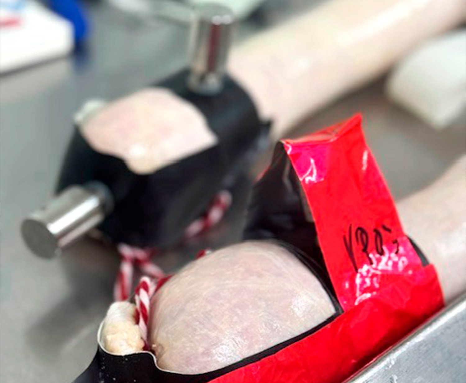  Tecnologia aplicada per a la qualitat, sostenibilitat i seguretat en productes carnis cuits